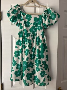 Altar'd State Green and Cream Floral Dress